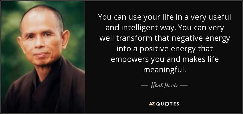 You can use your life in a very useful and intelligent way. You can very well transform that negative energy into a positive energy that empowers you and makes life meaningful. - Nhat Hanh