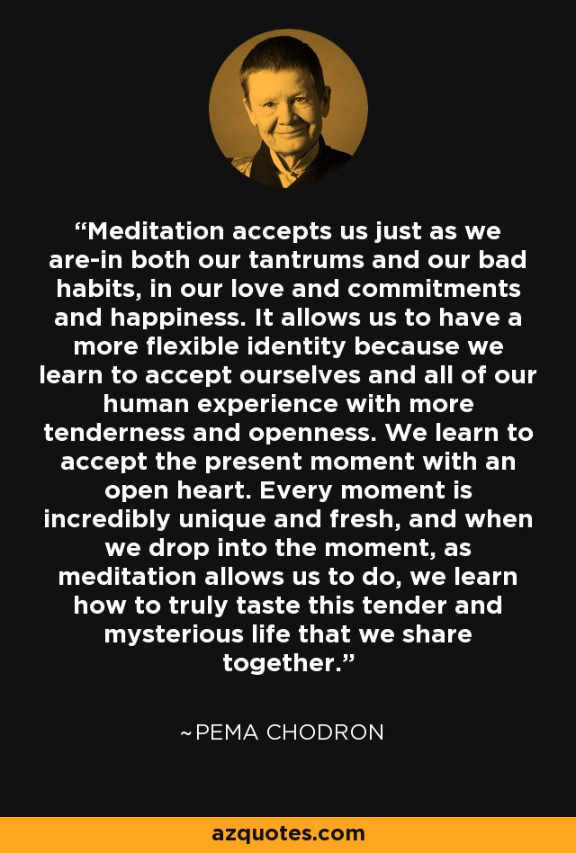 Meditation accepts us just as we are-in both our tantrums and our bad habits, in our love and commitments and happiness. It allows us to have a more flexible identity because we learn to accept ourselves and all of our human experience with more tenderness and openness. We learn to accept the present moment with an open heart. Every moment is incredibly unique and fresh, and when we drop into the moment, as meditation allows us to do, we learn how to truly taste this tender and mysterious life that we share together. - Pema Chodron