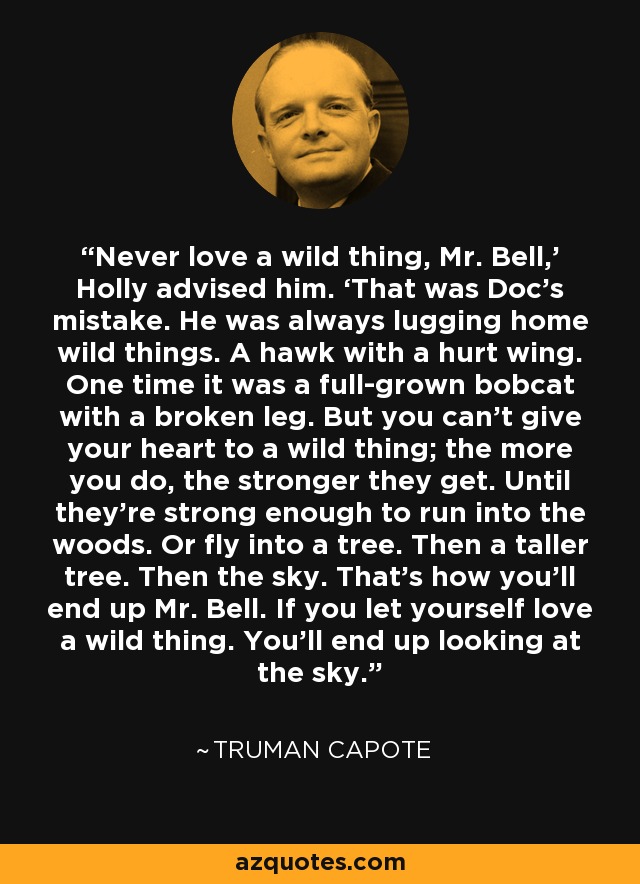 Never love a wild thing, Mr. Bell,’ Holly advised him. ‘That was Doc’s mistake. He was always lugging home wild things. A hawk with a hurt wing. One time it was a full-grown bobcat with a broken leg. But you can’t give your heart to a wild thing; the more you do, the stronger they get. Until they’re strong enough to run into the woods. Or fly into a tree. Then a taller tree. Then the sky. That’s how you’ll end up Mr. Bell. If you let yourself love a wild thing. You’ll end up looking at the sky. - Truman Capote