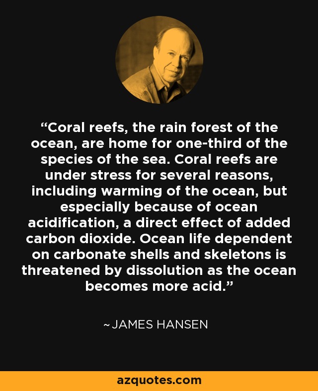 Coral reefs, the rain forest of the ocean, are home for one-third of the species of the sea. Coral reefs are under stress for several reasons, including warming of the ocean, but especially because of ocean acidification, a direct effect of added carbon dioxide. Ocean life dependent on carbonate shells and skeletons is threatened by dissolution as the ocean becomes more acid. - James Hansen