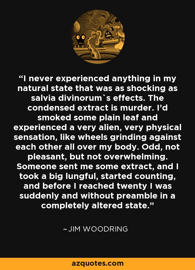 I never experienced anything in my natural state that was as shocking as salvia divinorum`s effects. The condensed extract is murder. I'd smoked some plain leaf and experienced a very alien, very physical sensation, like wheels grinding against each other all over my body. Odd, not pleasant, but not overwhelming. Someone sent me some extract, and I took a big lungful, started counting, and before I reached twenty I was suddenly and without preamble in a completely altered state. - Jim Woodring