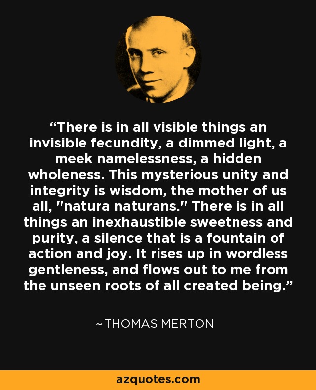 There is in all visible things an invisible fecundity, a dimmed light, a meek namelessness, a hidden wholeness. This mysterious unity and integrity is wisdom, the mother of us all, 