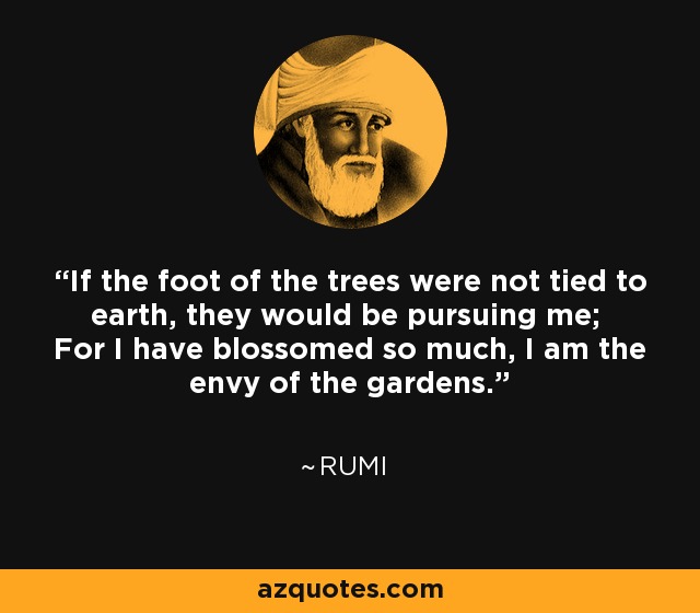 If the foot of the trees were not tied to earth, they would be pursuing me; For I have blossomed so much, I am the envy of the gardens. - Rumi
