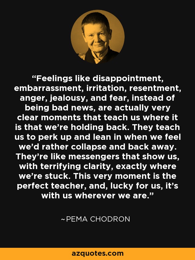 Feelings like disappointment, embarrassment, irritation, resentment, anger, jealousy, and fear, instead of being bad news, are actually very clear moments that teach us where it is that we’re holding back. They teach us to perk up and lean in when we feel we’d rather collapse and back away. They’re like messengers that show us, with terrifying clarity, exactly where we’re stuck. This very moment is the perfect teacher, and, lucky for us, it’s with us wherever we are. - Pema Chodron