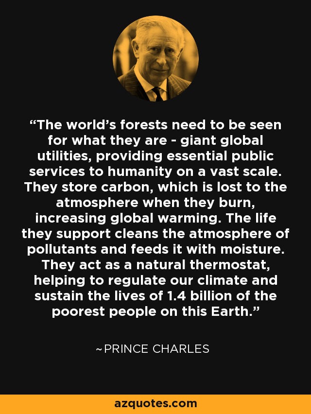 The world's forests need to be seen for what they are - giant global utilities, providing essential public services to humanity on a vast scale. They store carbon, which is lost to the atmosphere when they burn, increasing global warming. The life they support cleans the atmosphere of pollutants and feeds it with moisture. They act as a natural thermostat, helping to regulate our climate and sustain the lives of 1.4 billion of the poorest people on this Earth. - Prince Charles