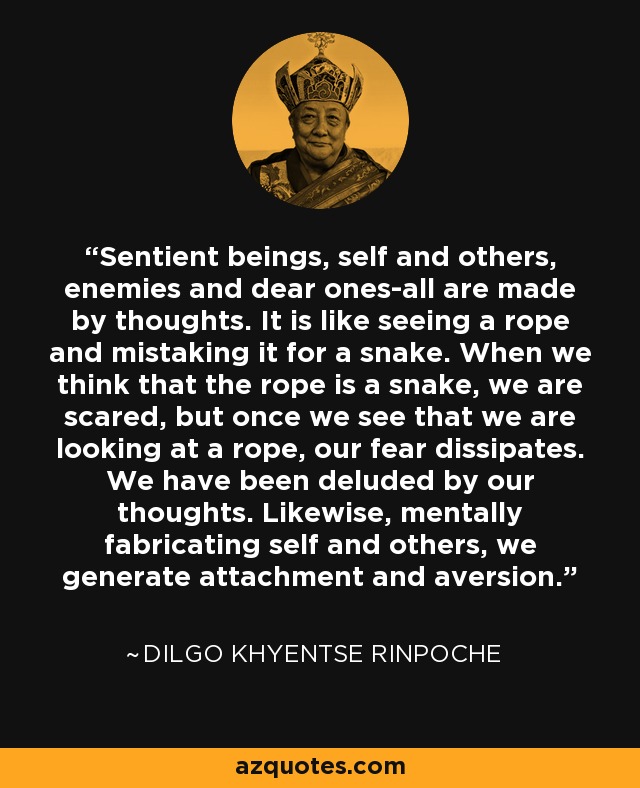 Sentient beings, self and others, enemies and dear ones-all are made by thoughts. It is like seeing a rope and mistaking it for a snake. When we think that the rope is a snake, we are scared, but once we see that we are looking at a rope, our fear dissipates. We have been deluded by our thoughts. Likewise, mentally fabricating self and others, we generate attachment and aversion. - Dilgo Khyentse Rinpoche