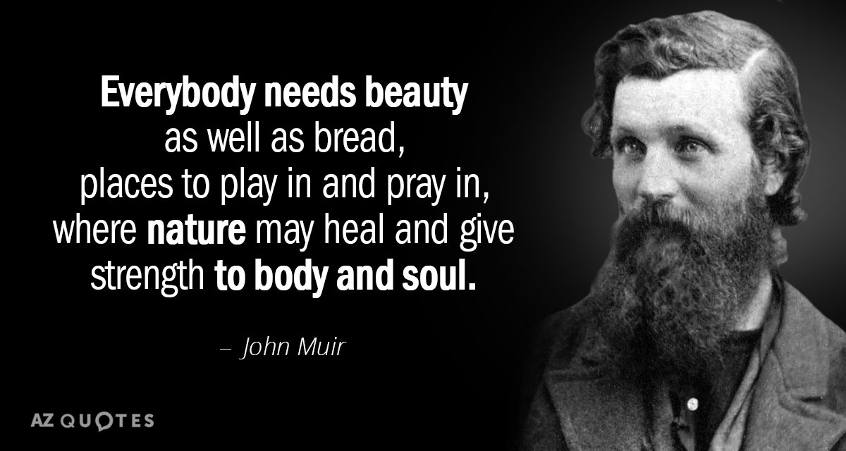 Cita de John Muir: Todo el mundo necesita belleza además de pan, lugares donde jugar y rezar...