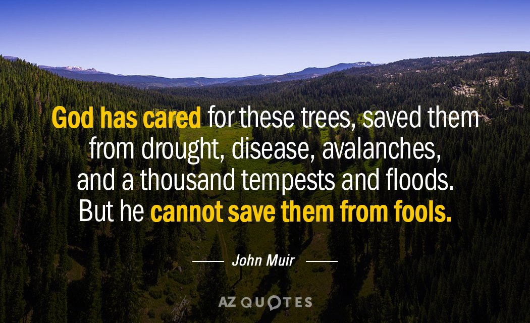 Cita de John Muir: Dios ha cuidado de estos árboles, los ha salvado de sequías, enfermedades, avalanchas y...