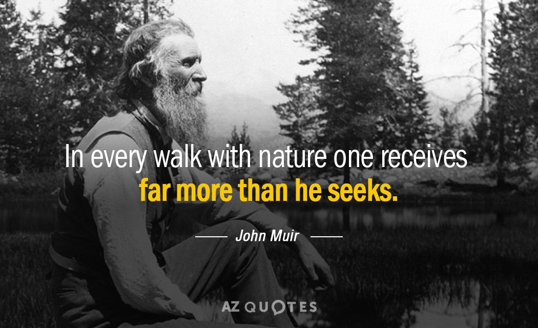 Cita de John Muir: En cada paseo con la naturaleza uno recibe mucho más de lo que busca.