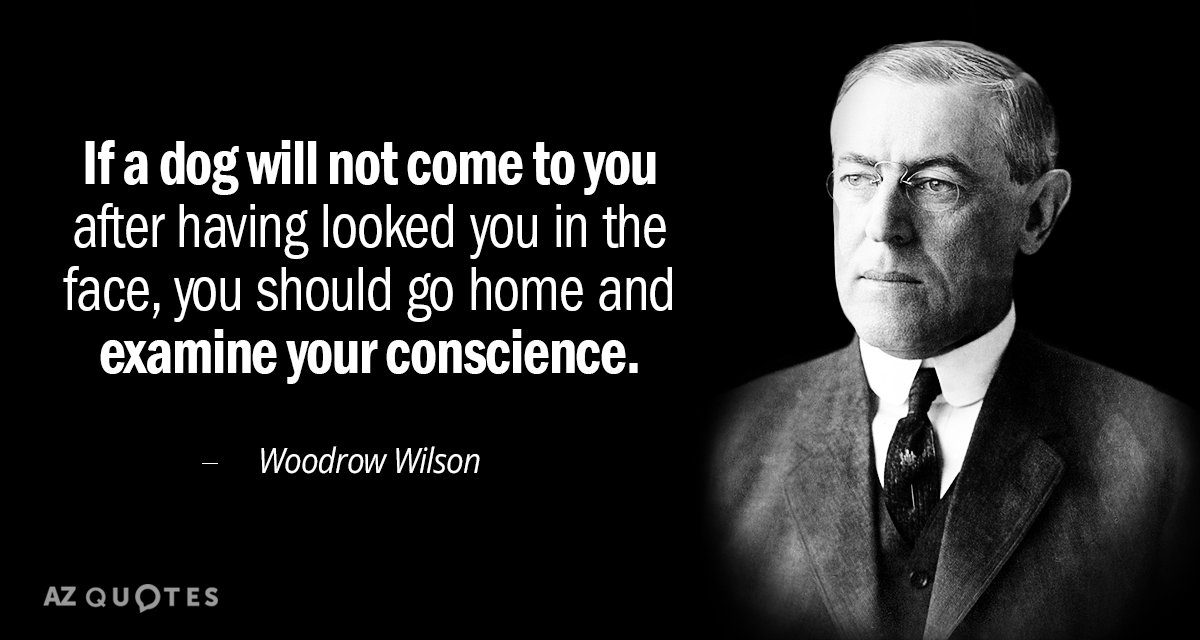 Cita de Woodrow Wilson: Si un perro no viene a ti después de haberte mirado...