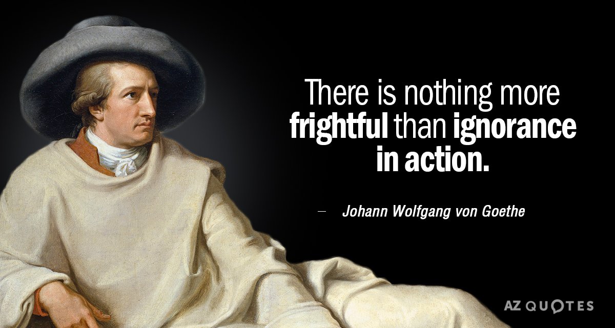 Johann Wolfgang von Goethe cita: No hay nada más espantoso que la ignorancia en acción.