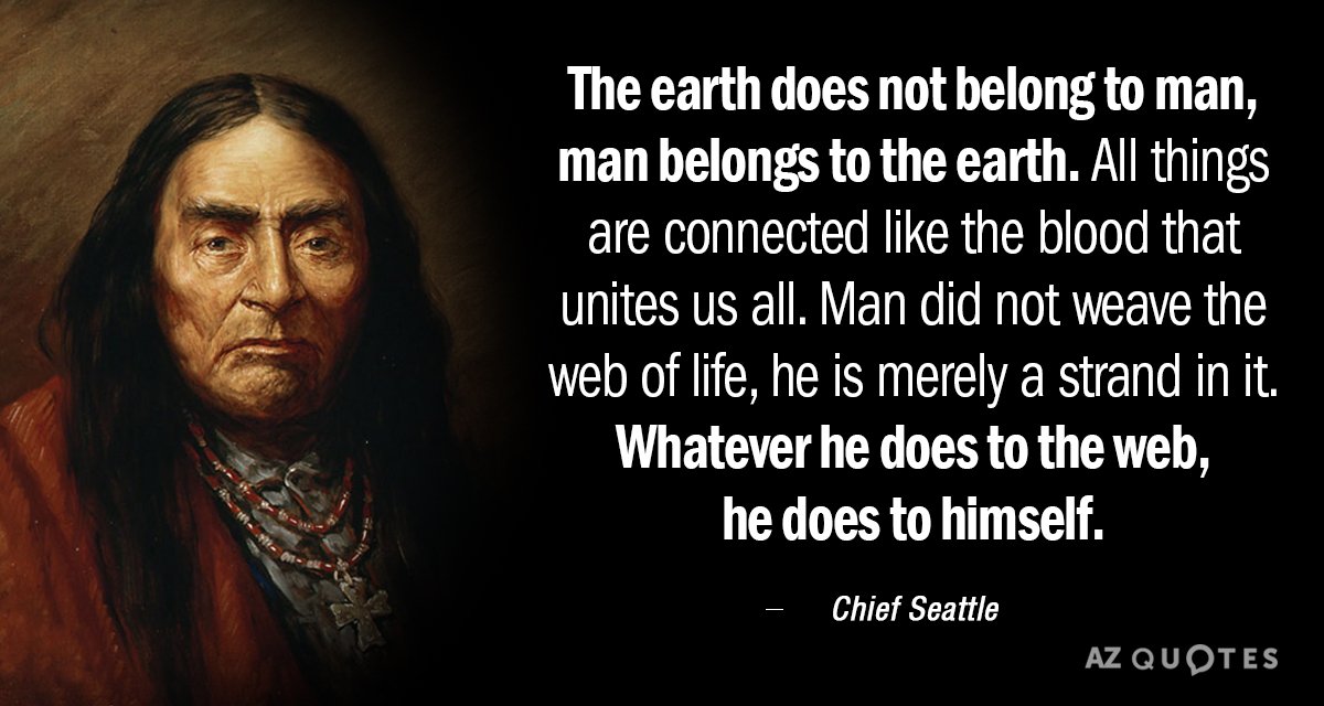 Cita del Jefe Seattle: La tierra no pertenece al hombre, el hombre pertenece a la tierra. Todo...